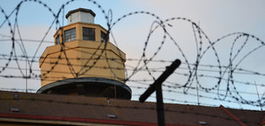 200 души успяха да избягат от бразилски затвор