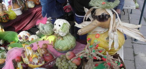 Рогът на изобилието се изсипа в Кюстендил (ВИДЕО+СНИМКИ)