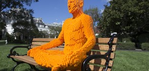 "Лего" фигури превзеха Белия дом (ГАЛЕРИЯ)