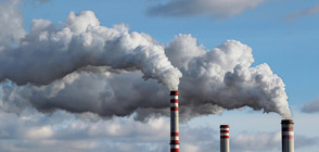 КНСБ: Държавата да се противопостави на ЕС за директивата за вредните емисии