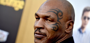 Татуировките - истински хит сред звездите (ГАЛЕРИЯ)