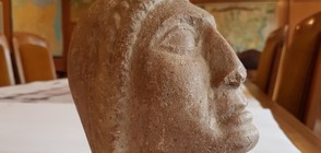 Откриха в нива с картофи част от статуя на поне 2600 години (ВИДЕО+СНИМКИ)