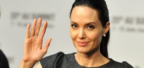 Анджелина Джоли нае жилище за 30 000 долара на месец