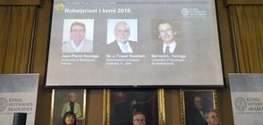 Трима учени взимат Нобеловата награда за химия