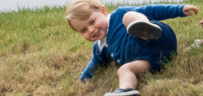 Защо принц Джордж винаги носи къси панталонки? (ГАЛЕРИЯ)