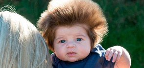 Запознайте се с бебето с най-бухналата прическа (СНИМКИ)