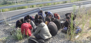 Нови 498 мигранти са установени у нас за седмица