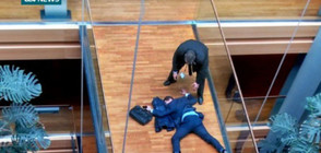Европарламентът разследва боя между депутати от ЮКИП
