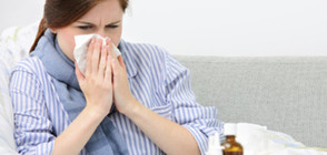 Кога се очаква грипната епидемия?
