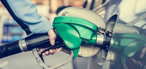 Предлагат ЕС да забрани пускането на нови коли на бензин и дизел