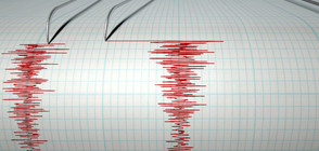 Земетресение от 5,7 по Рихтер край Индонезия