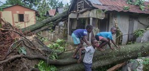 ООН търси 119 млн. долара за пострадалите от урагана Матю в Хаити