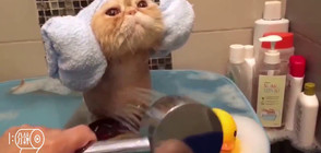 Сутрешният душ освежава (ВИДЕО)