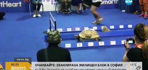 Надбягване между заек и костенурка (ВИДЕО)