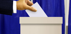 Германия разкрива по-малко изборни секции за българите