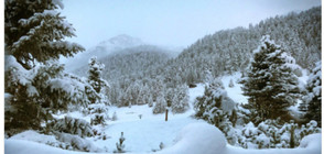 Снежна пелена покри Италия (ВИДЕО+СНИМКИ)