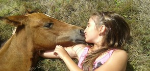 Открит урок с Веселина Фелдман по конна терапия за деца със специфични нужди