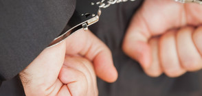 Разбиха голяма група за финансови измами