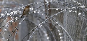 Словения слага метални заграждения по границата с Хърватия