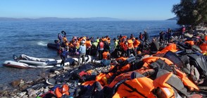 5000 мигранти са били спасени за два дни край Сицилия