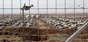 Ирак отказа на Турция да участва в битката за Мосул