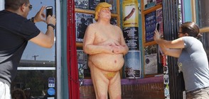 Продадоха статуя на "голия Доналд Тръмп" (СНИМКИ)