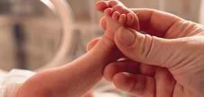Лекари извадиха бебе от утробата на майка му и го върнаха (ВИДЕО)