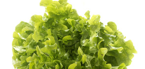 Американски астронавт отглежда маруля на МКС