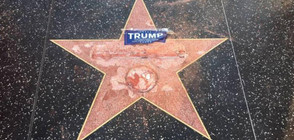 Мъж разби с чук звездата на Тръмп на "Алеята на славата" (ВИДЕО+СНИМКИ)