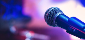 Ирина Флорин отново на сцена