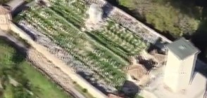 И гробищата също пострадаха при земетресенията в Италия (ВИДЕО)