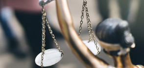 Съдът решава да остави ли зад решетките шефа на ИАРА