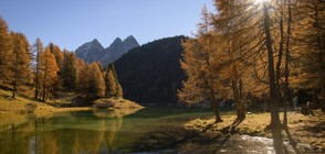 Есента преобрази Европа (ГАЛЕРИЯ)