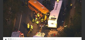 Училищен и градски автобус се удариха в Балтимор, има загинали (ВИДЕО+СНИМКИ)