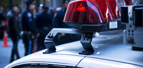 В Берлин арестуваха предпологаем терорист