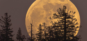 Ще наблюдаваме най-голямата Луна в средата на ноември