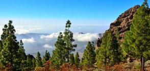 Парижкото споразумение за климата влезе в сила