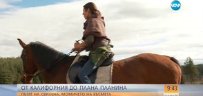 Защо една жена остави кариера в САЩ и се върна в България да отглежда коне?