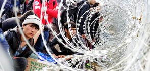 Над 830 нападения на бежански лагери в Германия