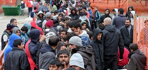 Сърбия иска общи патрули с България срещу мигрантите