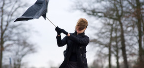 ОПАСНО ВРЕМЕ: Бурен вятър в 20 области във вторник