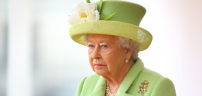 Британската кралица показа новия си портрет (СНИМКИ)
