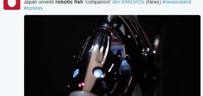 Японци изобретиха роботизирани рибки (ВИДЕО)