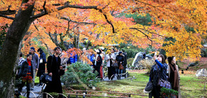 Най-„фотогеничният” град в света е … (ГАЛЕРИЯ)