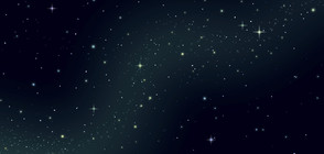 Пращат мухи, 75 мишки и клетъчни култури в Космоса