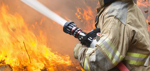 Голям пожар затвори магистрала до Ротердам