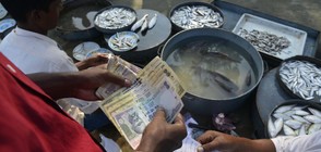 Хаос и сблъсъци при подмяна на банкноти в Индия (ВИДЕО)