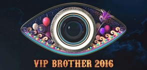 VIP Brother 2016 бе категоричният избор на зрителите