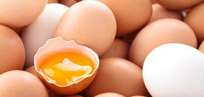"Росселхознадзор" ограничава вноса на яйца и птиче месо от България