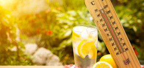 Тази година може да стане най-топлата в историята на наблюденията